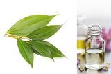 Cinnamon Leaf (Essential Oil)
