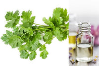 Coriander (Essential Oil)