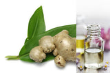 Ginger Root (Essential Oil)