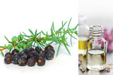 Juniper Berry (Essential Oil)