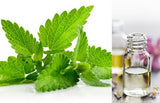 Melissa Leaf (Essential Oil) 3% Dilution